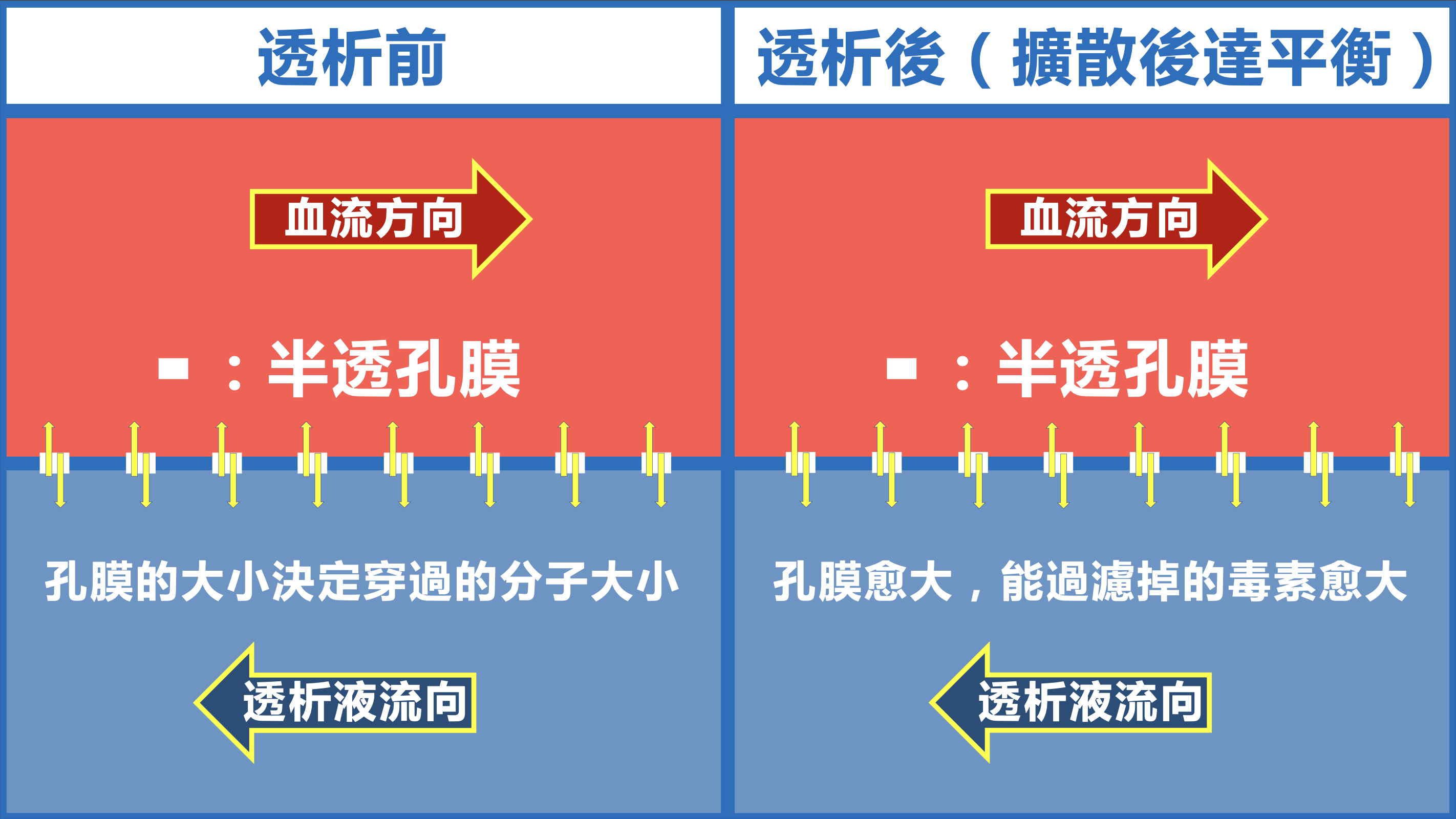 什麼是血液透析？讓你秒懂血液透析的基本原理 – 瑞東診所