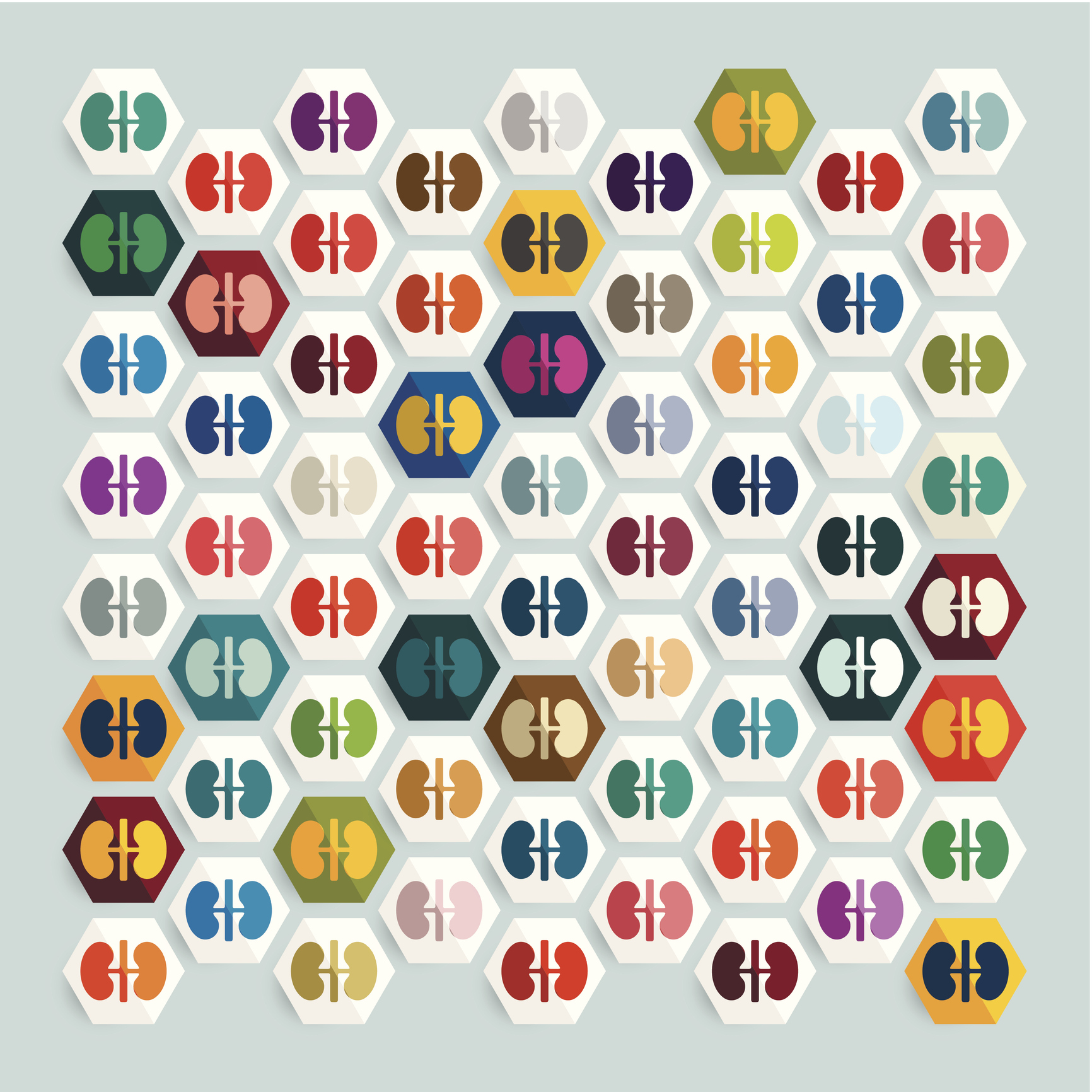 守護腎臟，從尿蛋白與腎絲球過濾率開始—糖尿病友不可忽視的雙重檢測– 瑞東診所